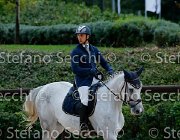 Cancogni Berlin's Pride GioCav2013 S5 1041 : Berlin's Pride, Campionati Italiani Giovani Cavalli, Cancogni Daniele, Cattolica, ph Stefano Secchi ©